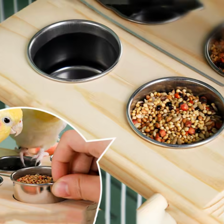 Interactive Mirror Bird Feeder