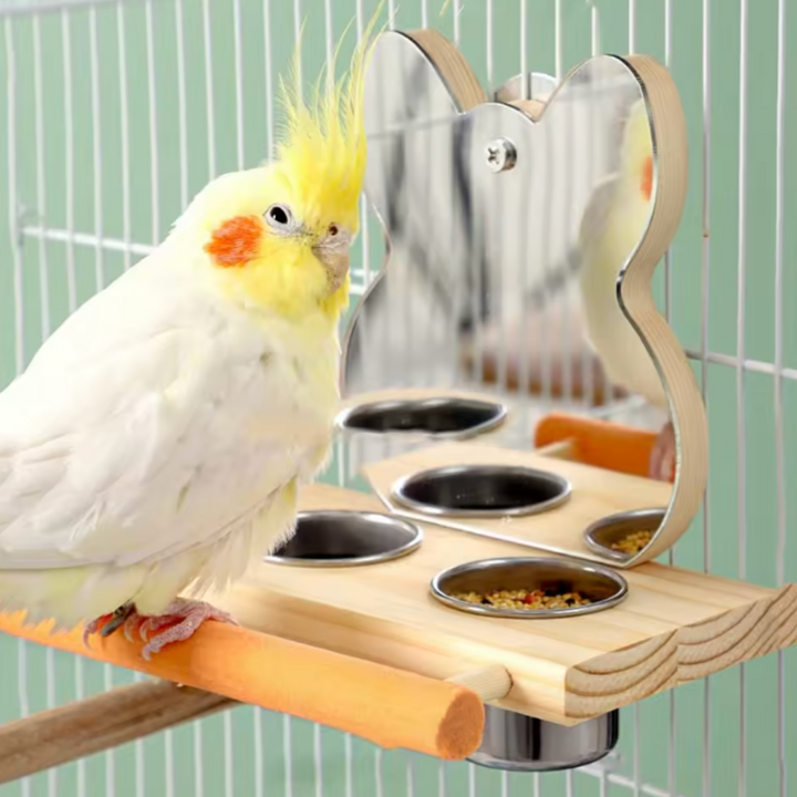 Interactive Mirror Bird Feeder