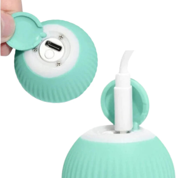 Smart Cat Ball Toys